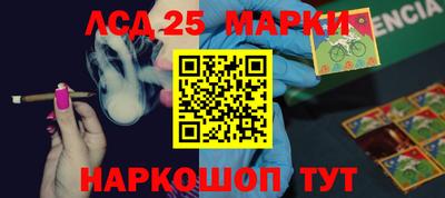 Альфа ПВП Кандалакша