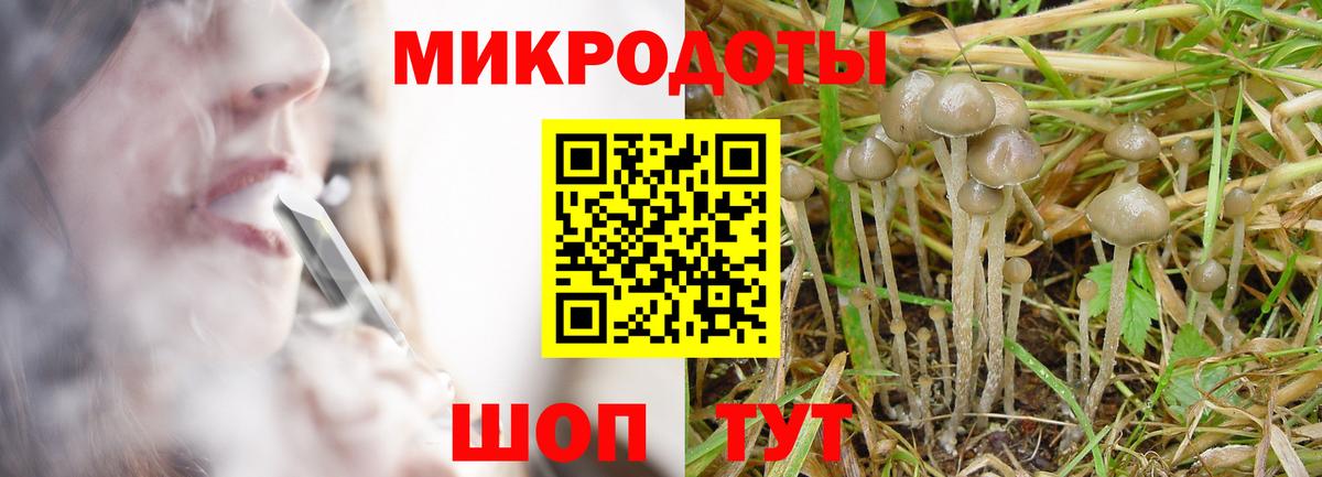 Галлюциногенные грибы Psilocybe  Псилоцибиновые грибы ЛСД  Вход с VPN  Магадан 